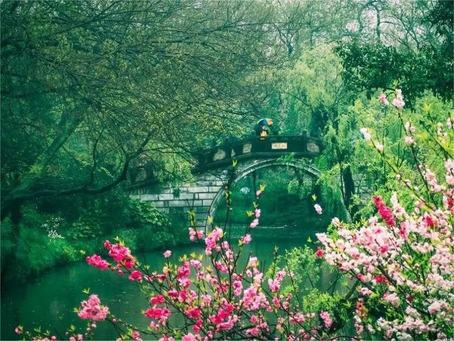 willow-treas-and-peach-blossoms-in-minor-qinhuai-river-yangzhou-jpeg willow-treas-and-peach-blossoms-in-minor-qinhuai-river-yangzhou-jpeg