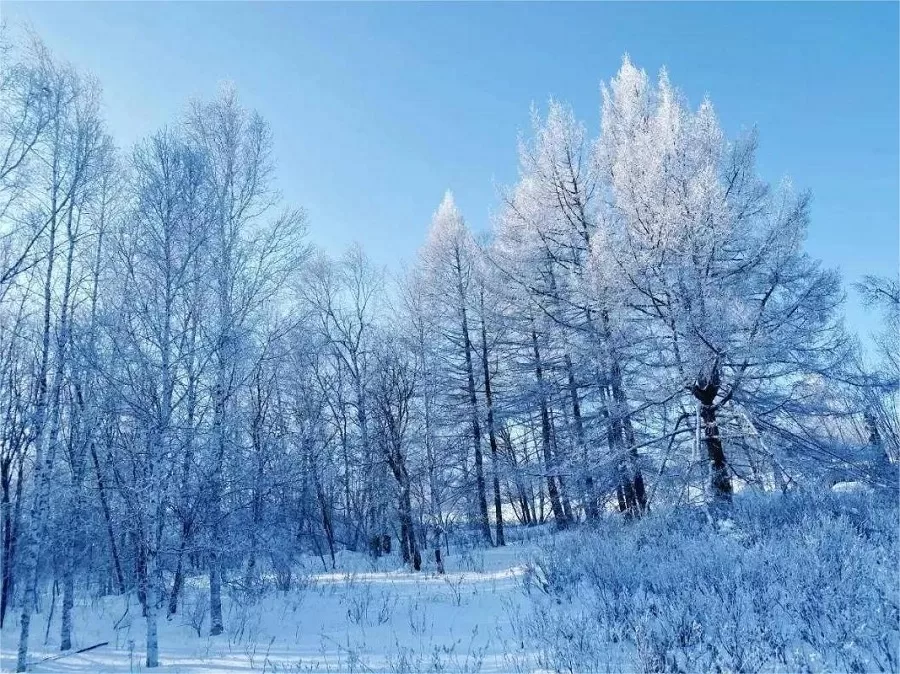 winter-wonderland-of-balang-mountain-jpeg winter-wonderland-of-balang-mountain-jpeg