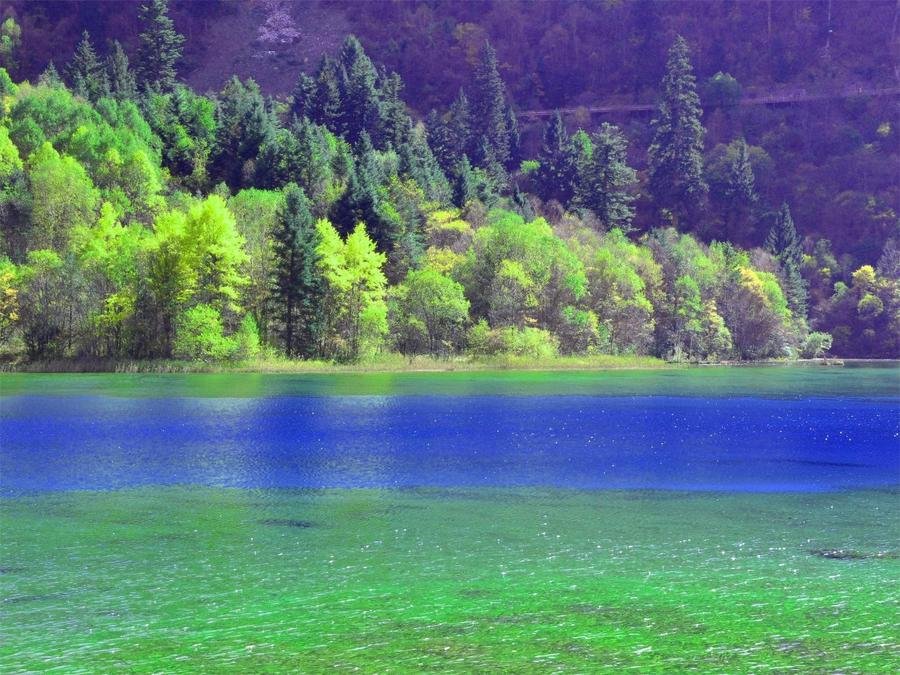 wolong-lake-in-jiuzhai-valley wolong-lake-in-jiuzhai-valley