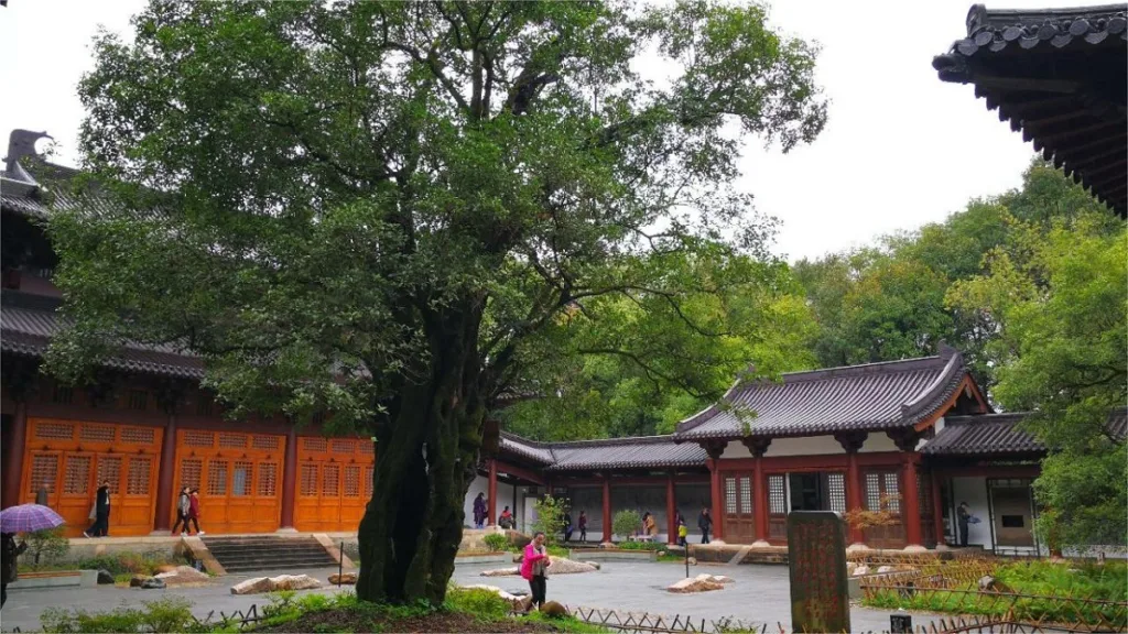 wuyi-palace-in-wuyi-mountain-1024x576-2