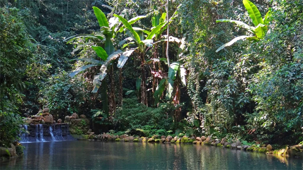 xishuangbannan-primeval-forest-park-1024x576-4 xishuangbannan-primeval-forest-park-1024x576-4