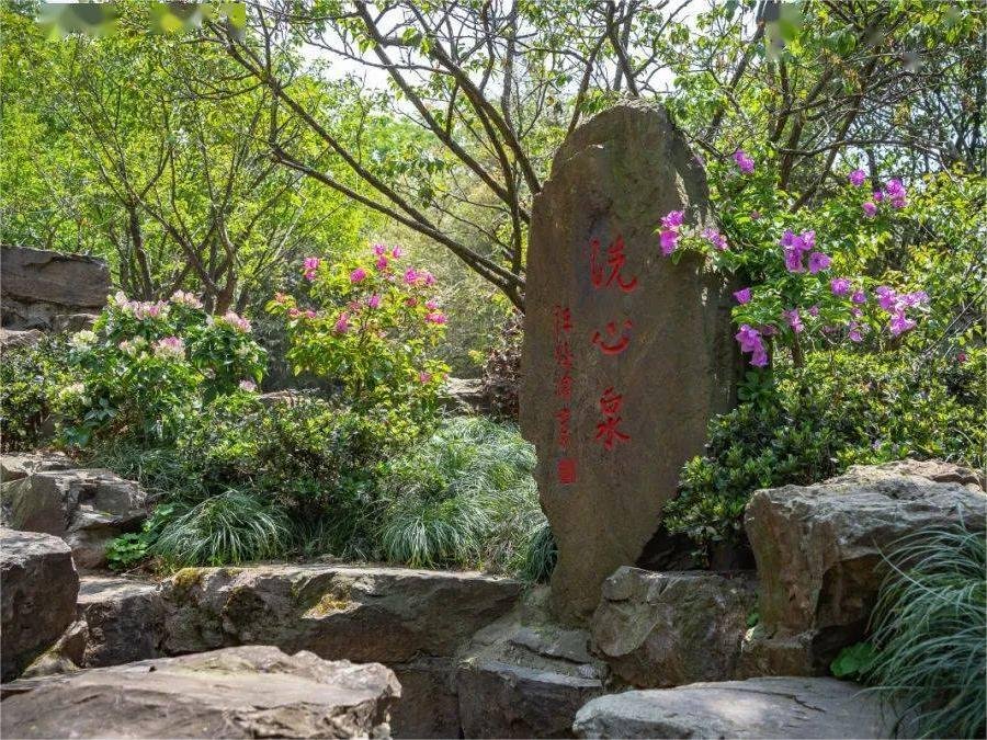 xixin-spring-in-plum-garden-in-wuxi xixin-spring-in-plum-garden-in-wuxi