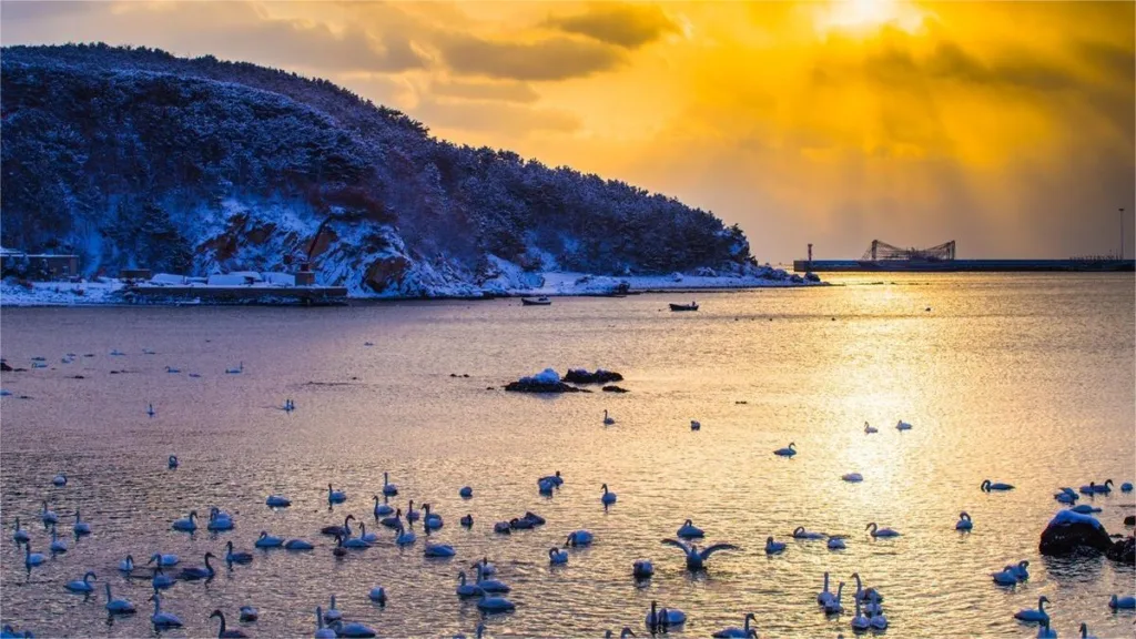 yandunjiao-village-weihai-1024x576-3 yandunjiao-village-weihai-1024x576-3