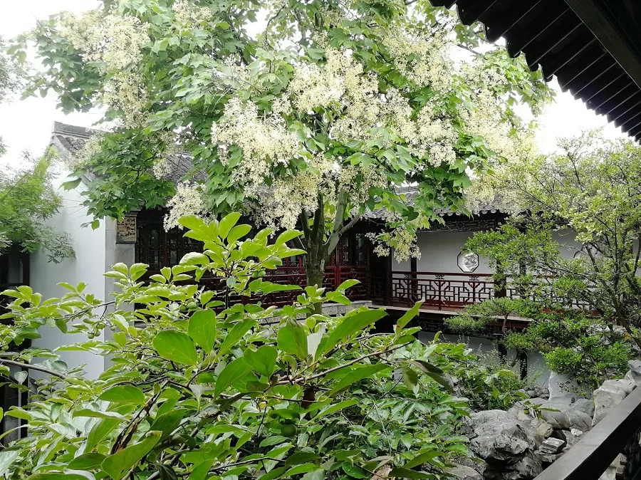 yipu-garden-in-dongguan-street-yangzhou-jpg yipu-garden-in-dongguan-street-yangzhou-jpg