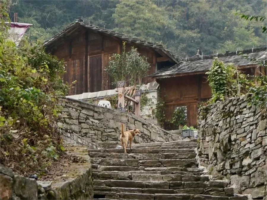 yunshan-tun-village-in-yunfeng-tunpu-jpg yunshan-tun-village-in-yunfeng-tunpu-jpg