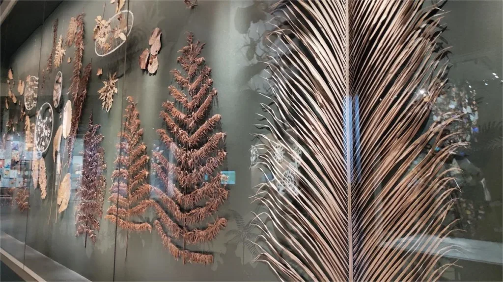 zhejiang-museum-of-natural-history-1024x576-1 zhejiang-museum-of-natural-history-1024x576-1